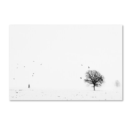 Trademark Fine Art